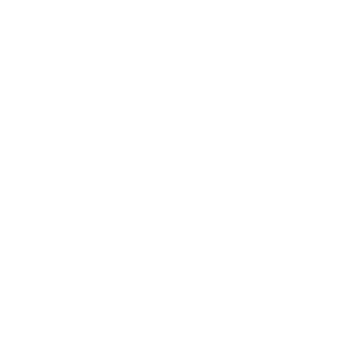 Authentic Tribe